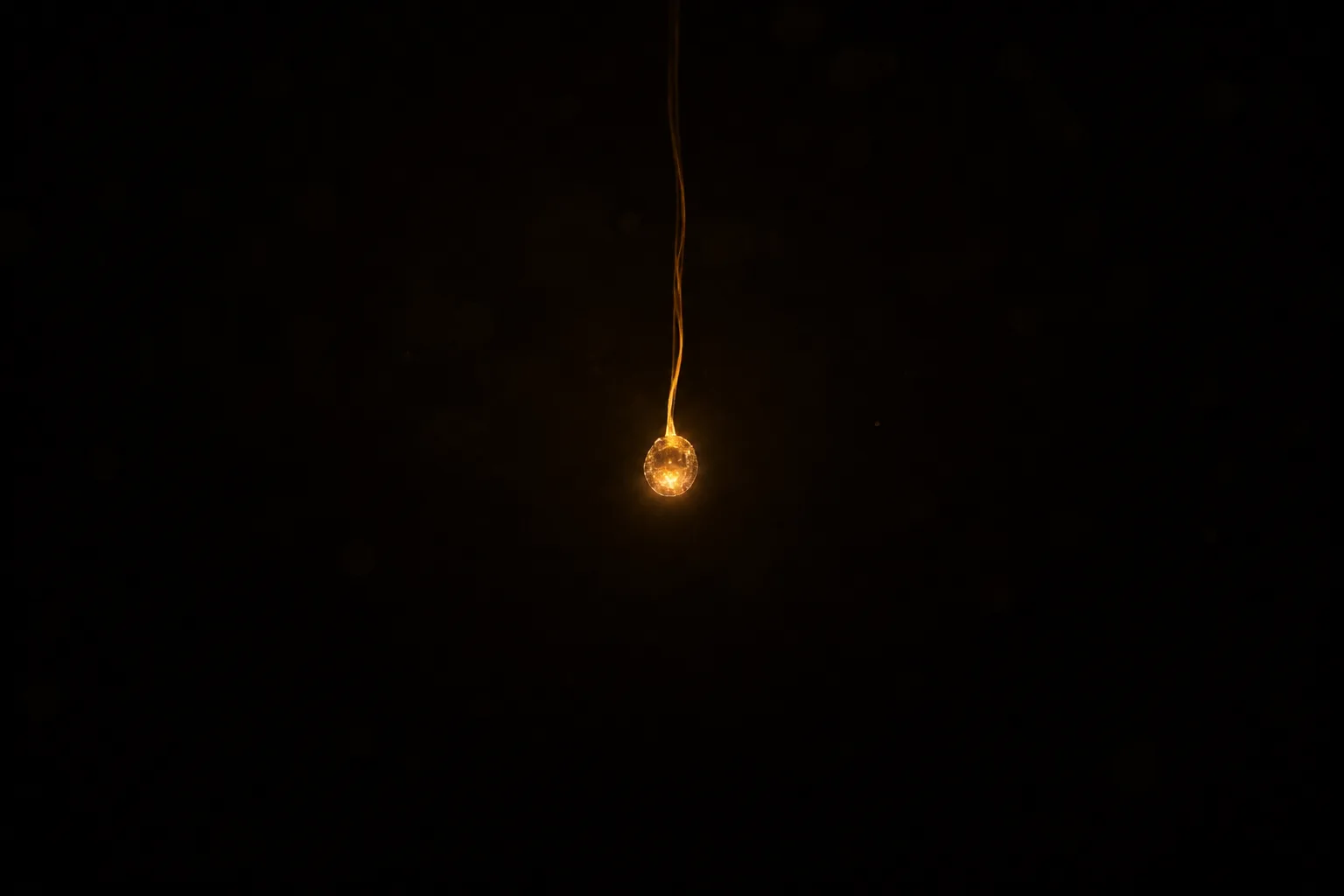 Every film begins as a spark